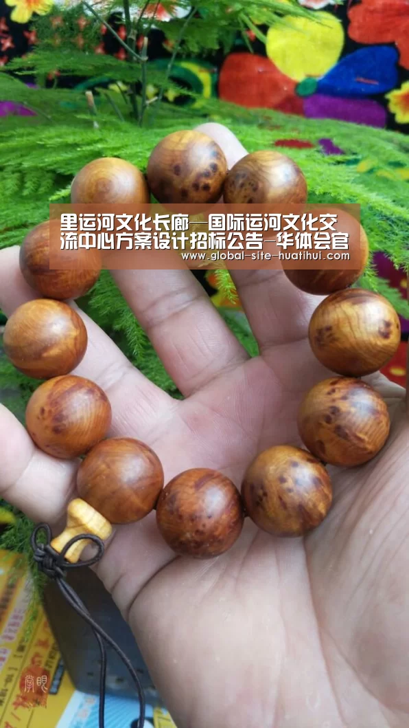 华体会官网下载