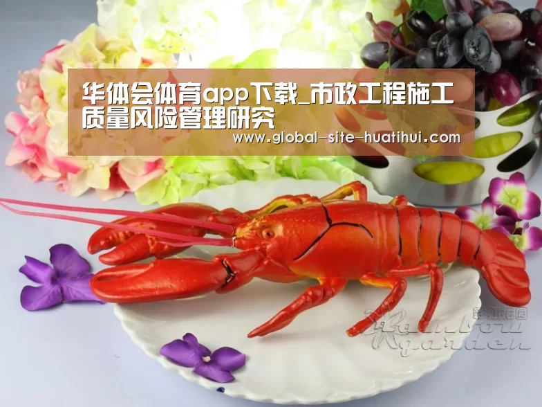 华体会体育app下载_市政工程施工质量风险管理研究(图1) 华体会体育app下载