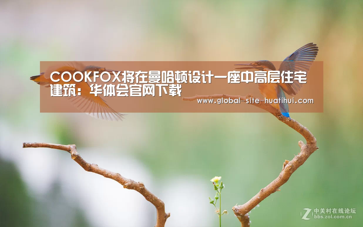 COOKFOX将在曼哈顿设计一座中高层住宅建筑:华体会官网下载(图3) 华体会官网下载