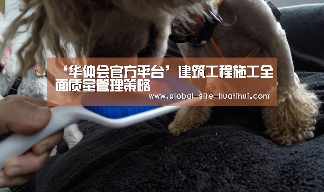 ‘华体会官方平台’建筑工程施工全面质量管理策略(图1) 华体会官方网站入口
