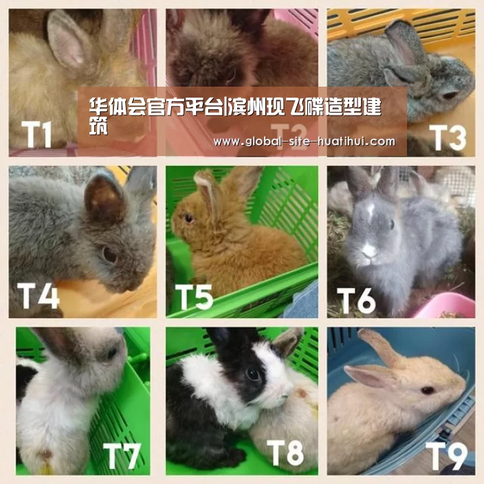 华体会官方平台|滨州现飞碟造型建筑(图1) 华体会官方网站入口