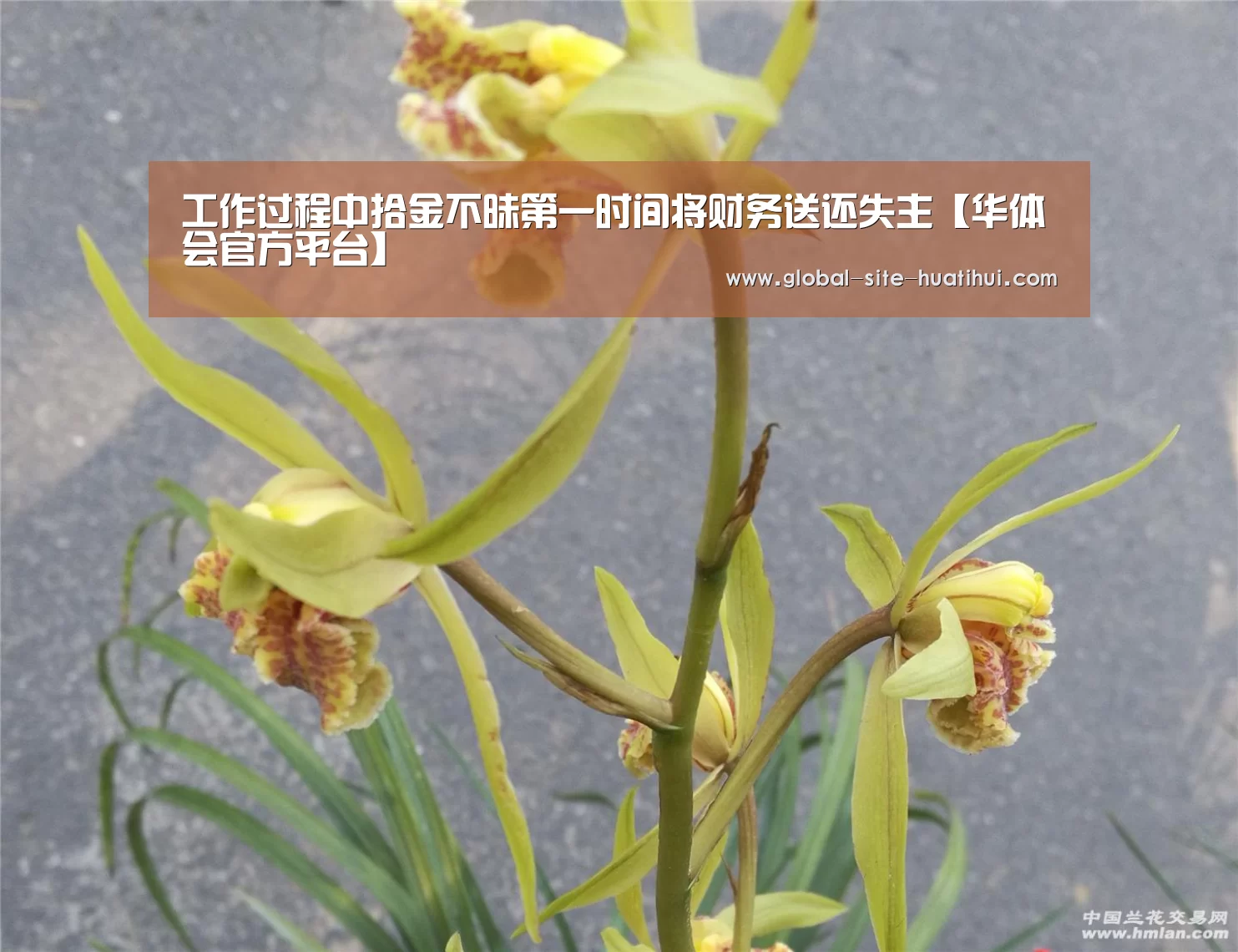 工作过程中拾金不昧第一时间将财务送还失主【华体会官方平台】(图3) 华体会官方平台