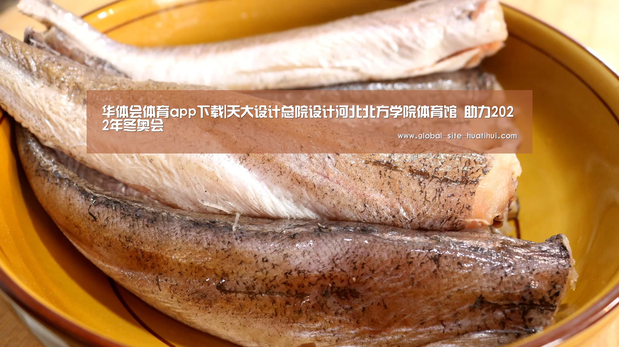 华体会体育app下载|天大设计总院设计河北北方学院体育馆 助力2022年冬奥会(图1) 华体会官网下载